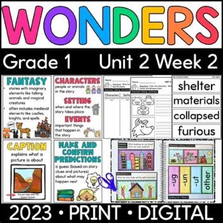 1st Grade / Overview