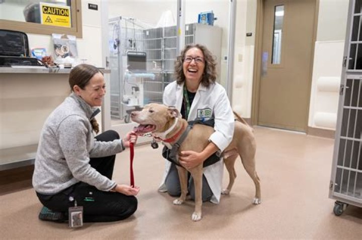 24 Hour Animal Hospital Cleveland Ohio