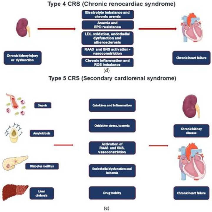 4-crs