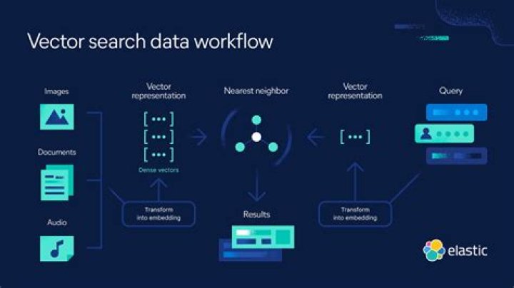 5-vector-data