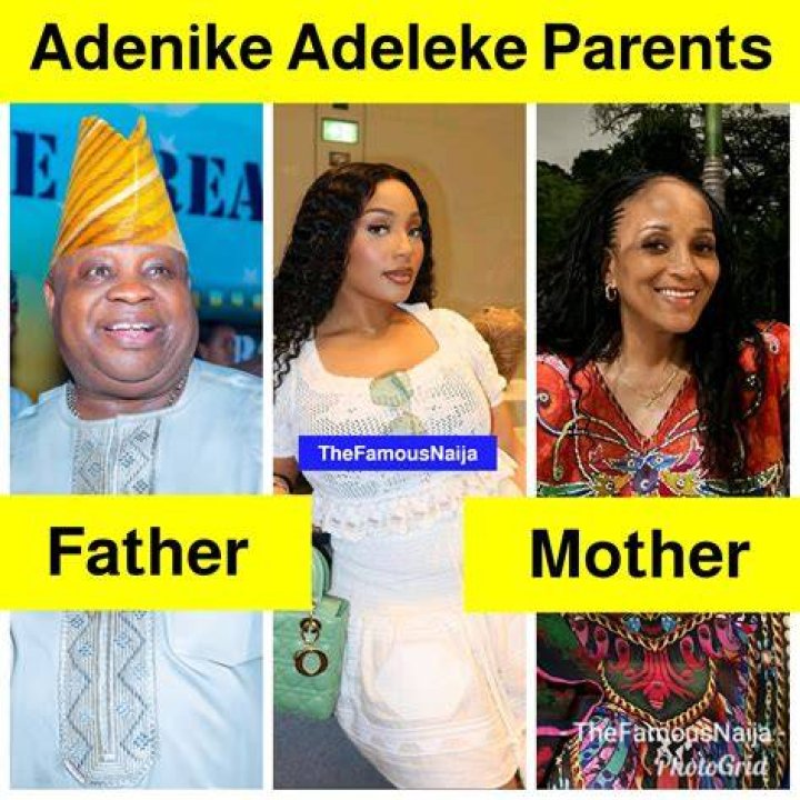 A Glimpse Into The Adeleke Family Net Worth 2024