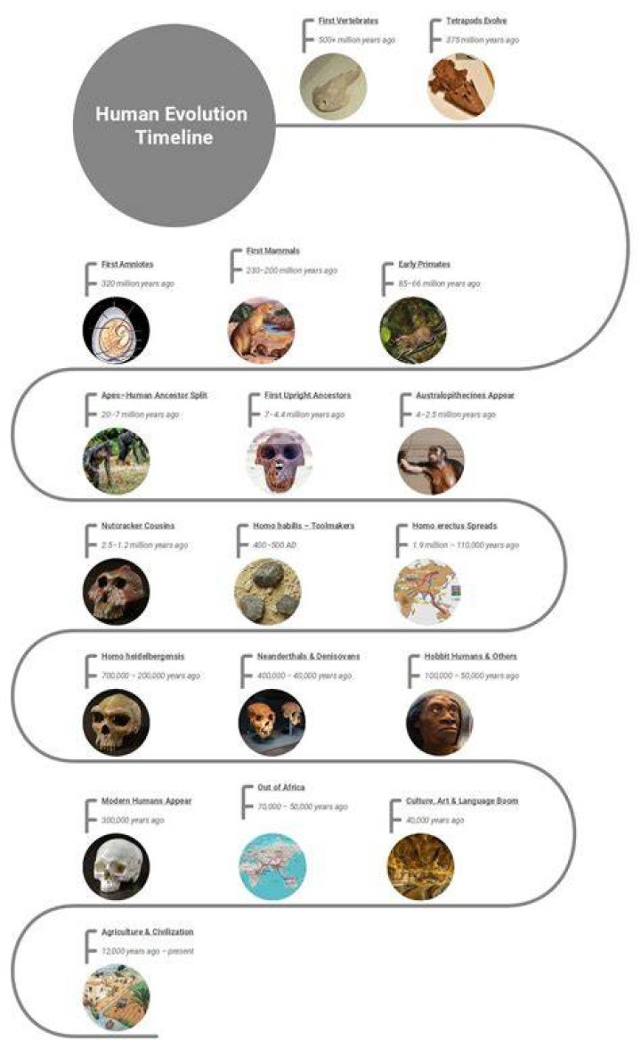 A Journey Into Evolutionary Discoveries