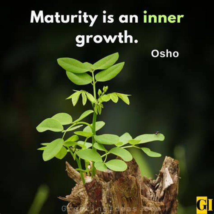 A Journey Into Maturity And Wisdom
