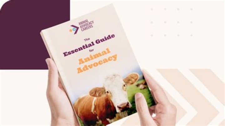 A Journey Of Art, Family, And Animal Advocacy