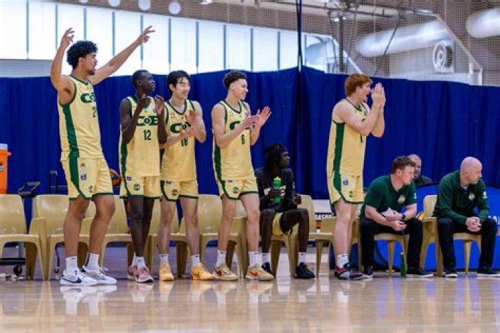 A Journey Of Basketball Excellence