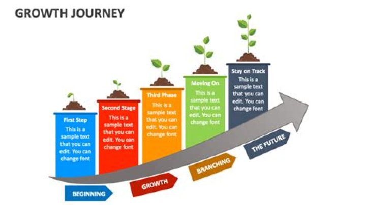 A Journey Of Growth And Insights