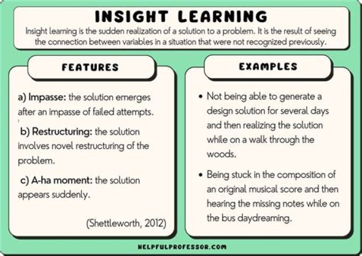 A Journey Of Insight And Influence