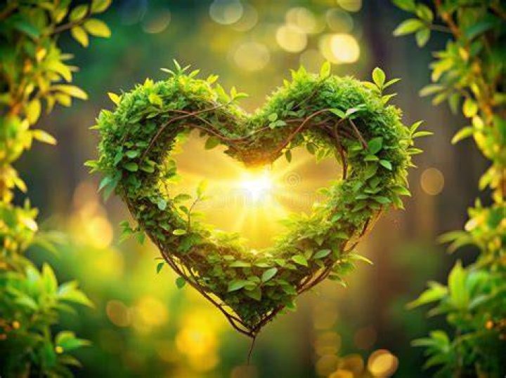 A Journey Of Love, Support, And Triumph