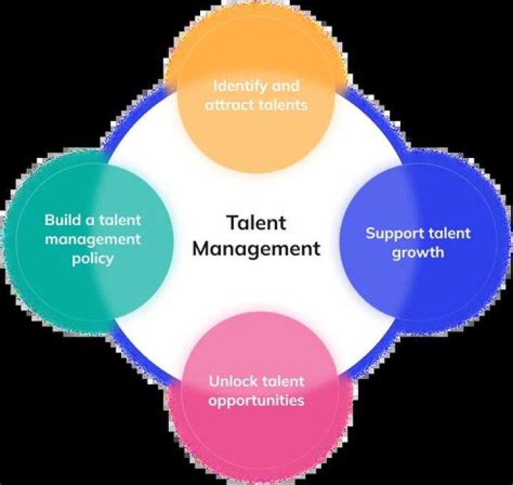 A Journey Of Talent And Authenticity