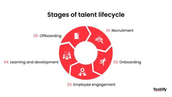 A Journey Of Talent And Fortune