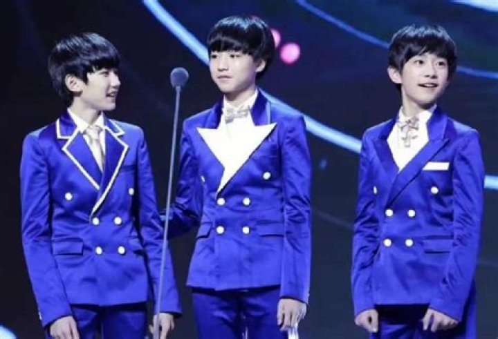 A Journey Through Movies, TFBoys, Net Worth, And Dating