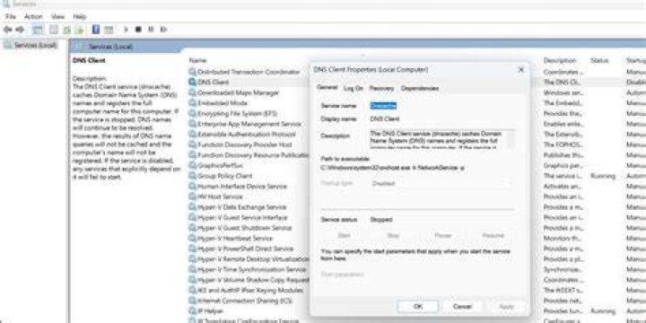 About DS-Client