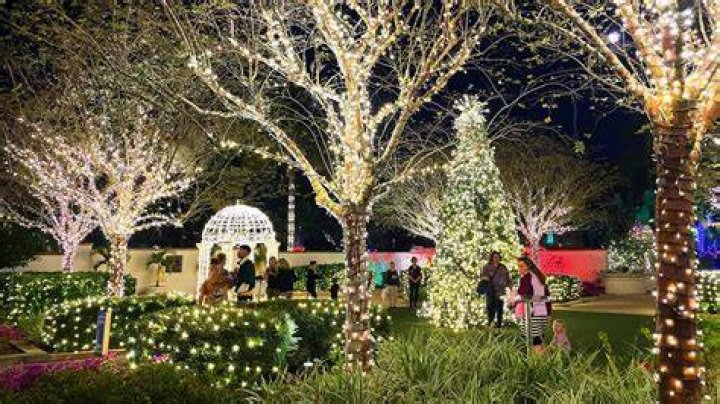 Adamsville, Florida Holiday Light Installation