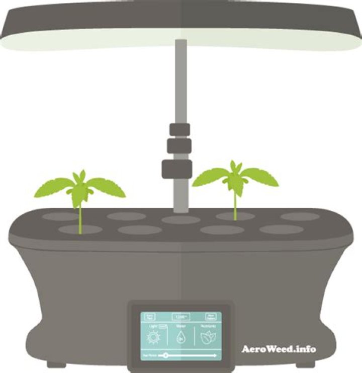 Aerogarden Marijuana Seeds
