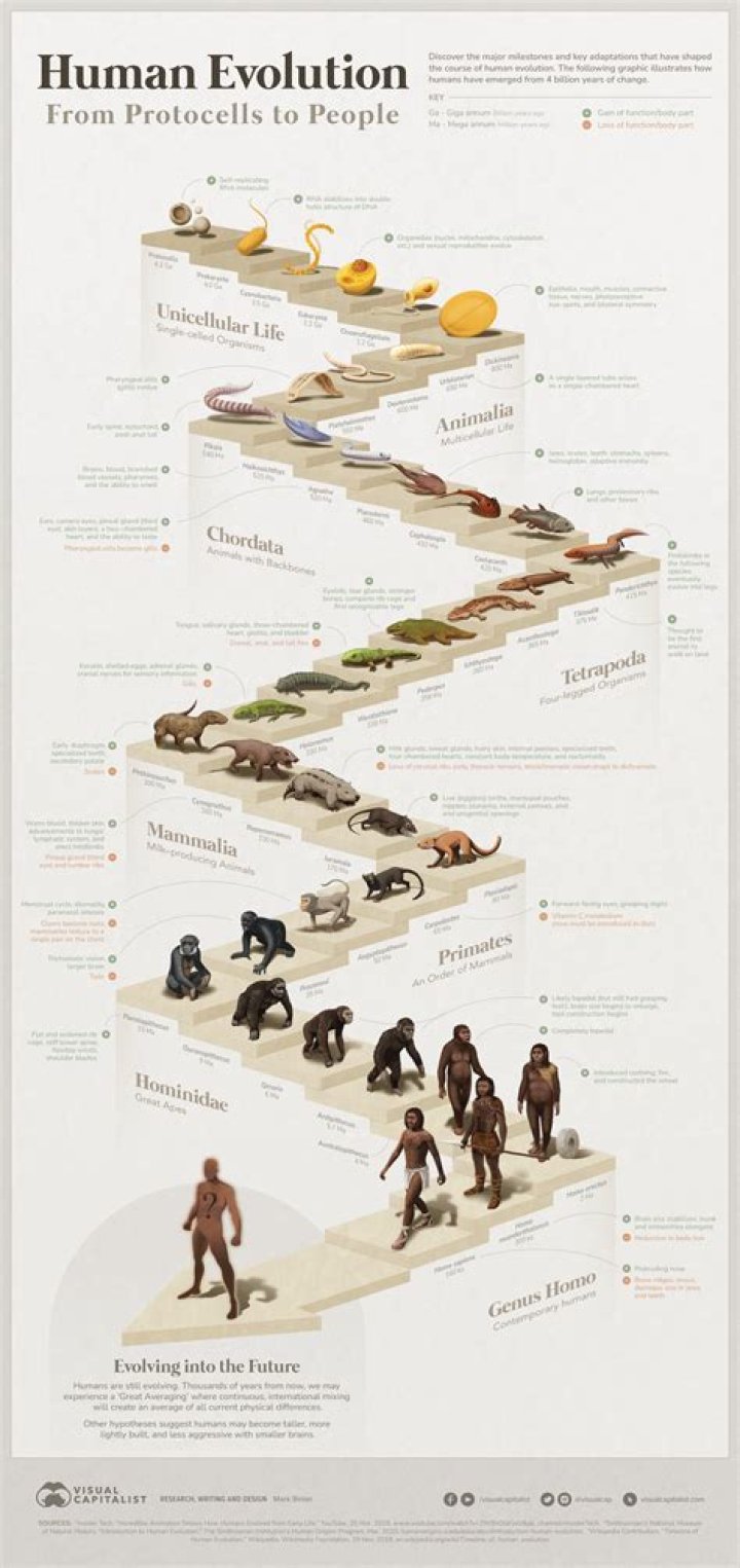 Age, Success, And Life's Evolution