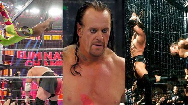 Age, Talent, And Triumphs Revealed