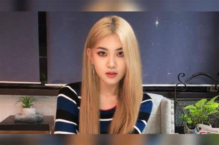 Allissa Shin's Biography And Net Worth Revealed