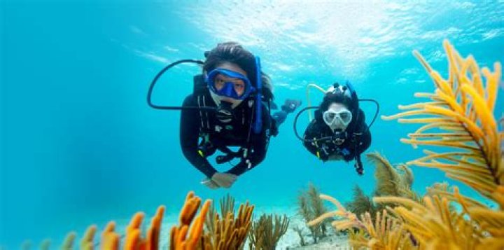 An In-Depth Dive Into Getrefunds.com