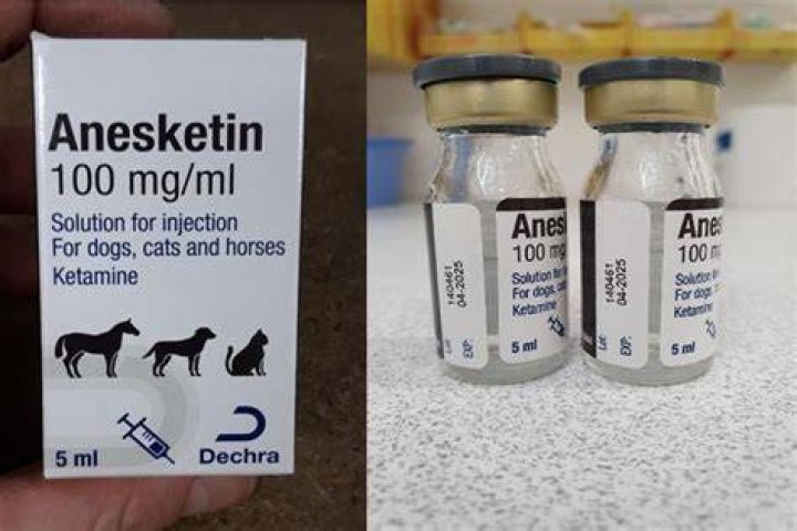 Anesketin 100 mg/ml solution for injection - Product defect recall alert