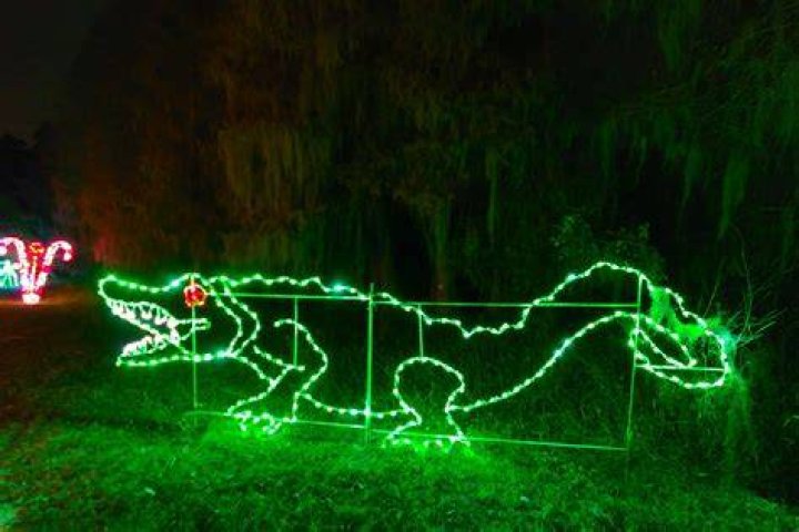 Auburndale, Florida Christmas Light Setup