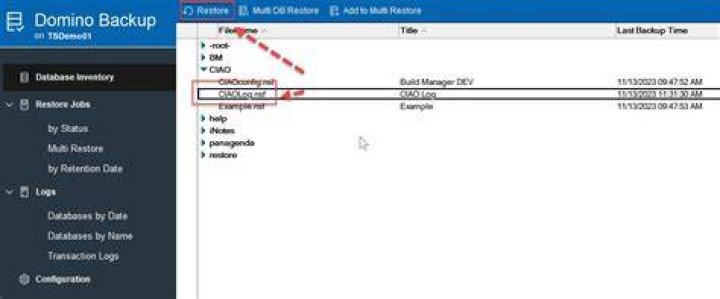 Backup / Restore of IBM Domino Server Databases