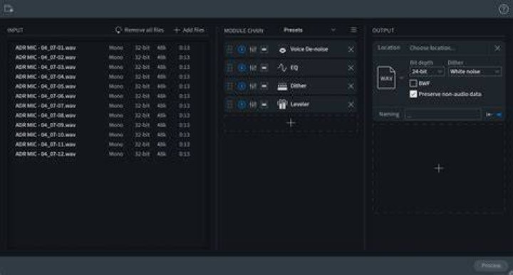 Batch Processor - RX 9 Help