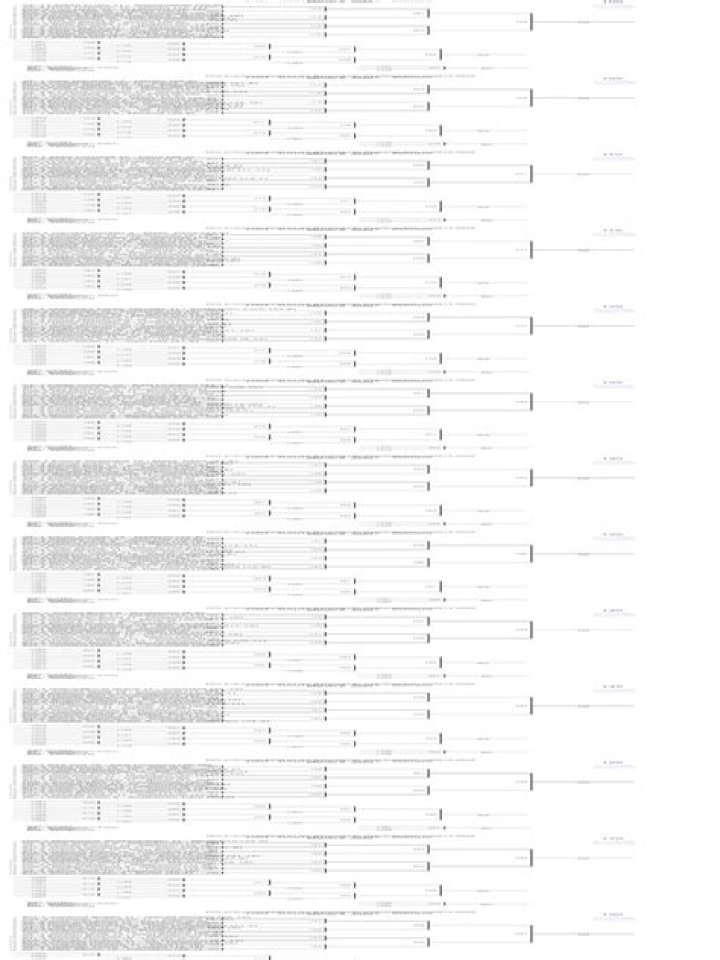 Baumspage Results