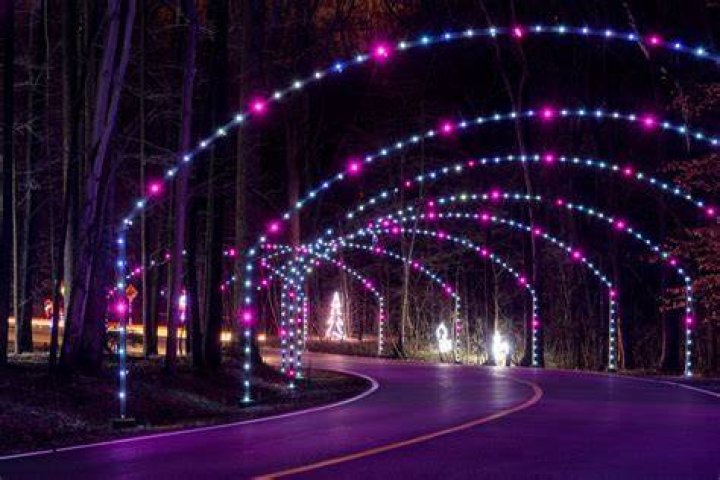 Belle Meade, Maryland Holiday Light Installation