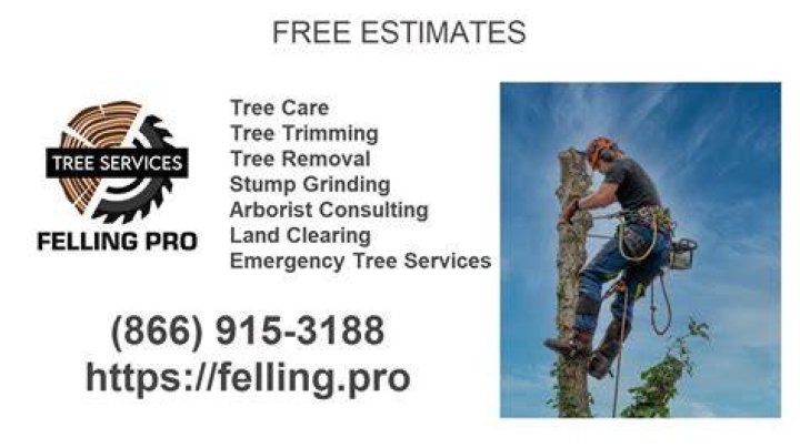 Berkeley Felling Pro - Tree maintenance in Martinsburg, West Virginia