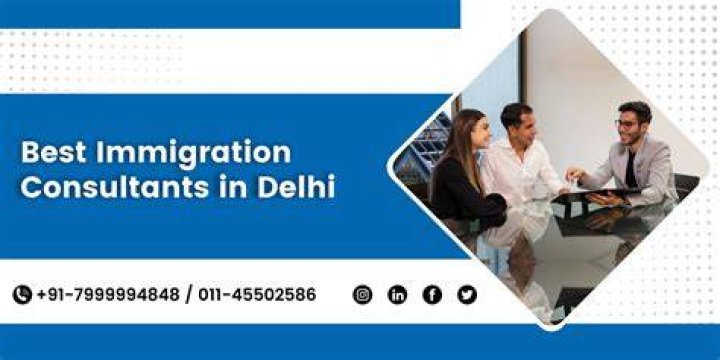 Best List of Local Seo Consultants in Delhi