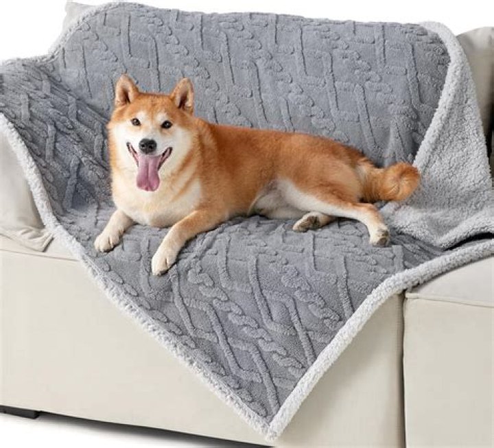 big dog stuff - Pet Blanket