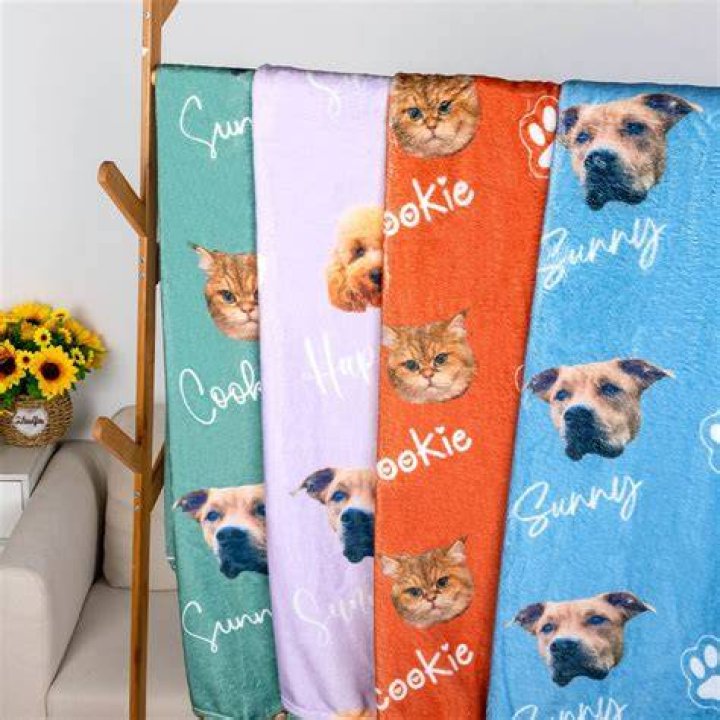 blanket of pet - Pet Blanket