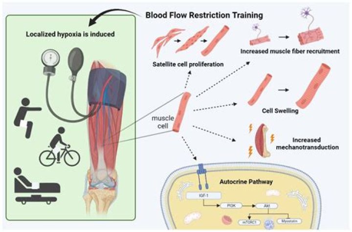 blood flow restriction training certification new hampshire