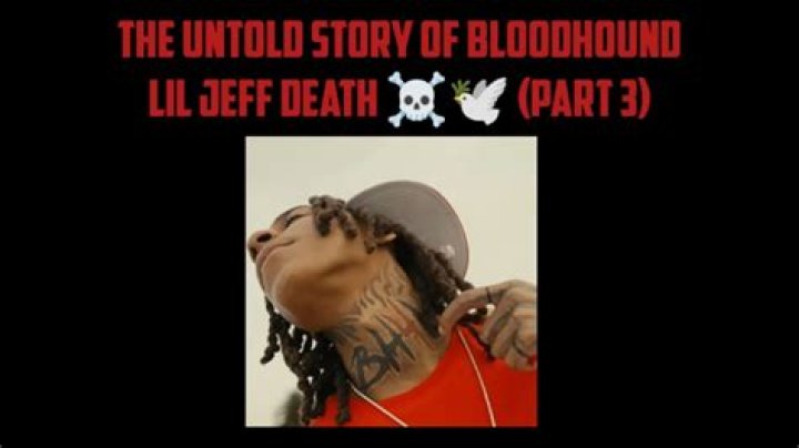 Bloodhound Lil Jeff Killed: Understanding This Gentle Giant's Nature and Care
