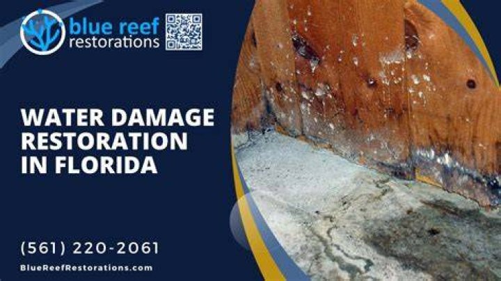 Blue Reef Restorations - Water Damage Restoration in South Florida