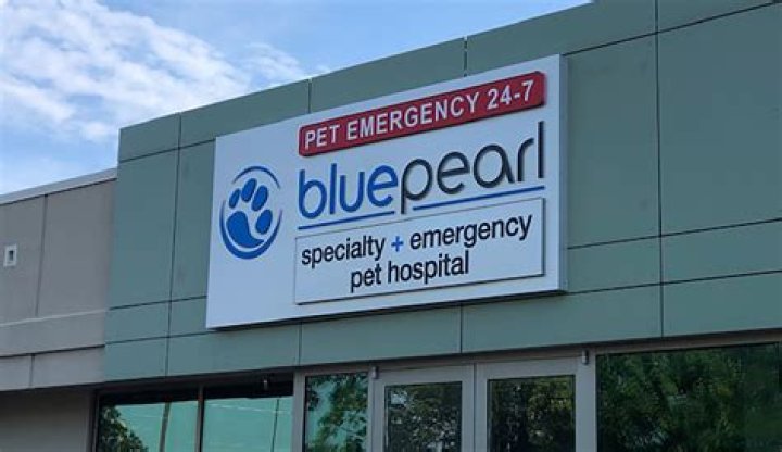 Bluepearl Animal Hospital – Contact