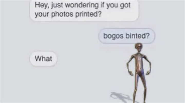 Bogos Binted: Unpacking the Internet's Latest Curious Phrase