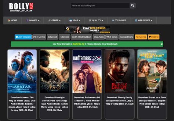 Bollyflix 4u Movie: What You Should Know About Online Streaming