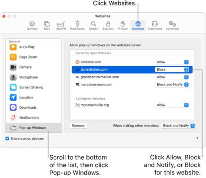 Browser pop-up blocking and Tinkercad export