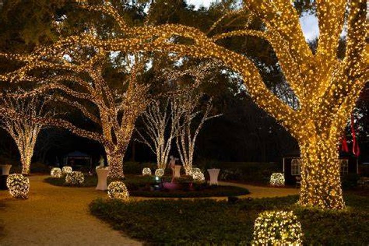 Canton, Louisiana Christmas Light Installation