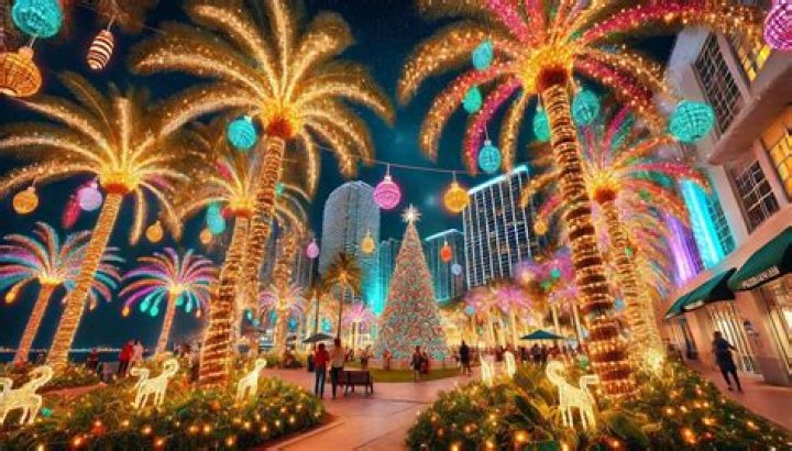 Cape Coral, Florida Xmas Light Installation