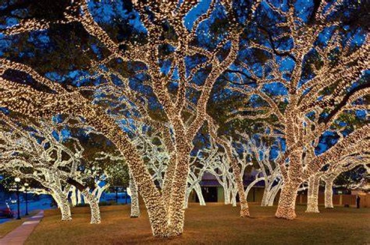 Carthage, North Carolina Holiday Light Installation