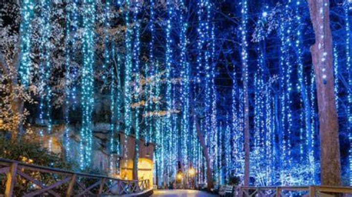 Cave Springs, Tennessee Christmas Light Installation