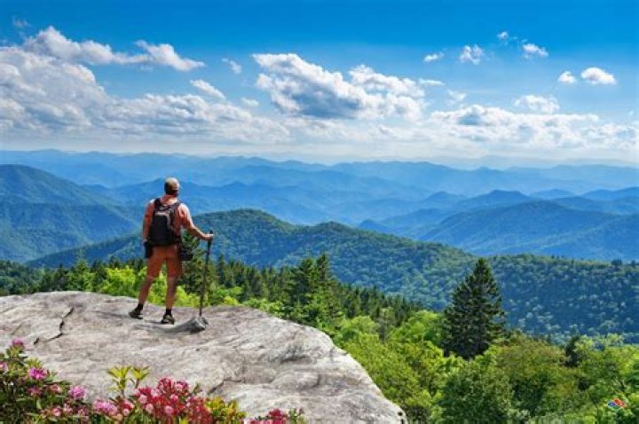 Chanel crossbody 2014, guided backpacking trips in smoky mountains, herschel retreat backpack navy uk, camelbak camo backpacks walmart