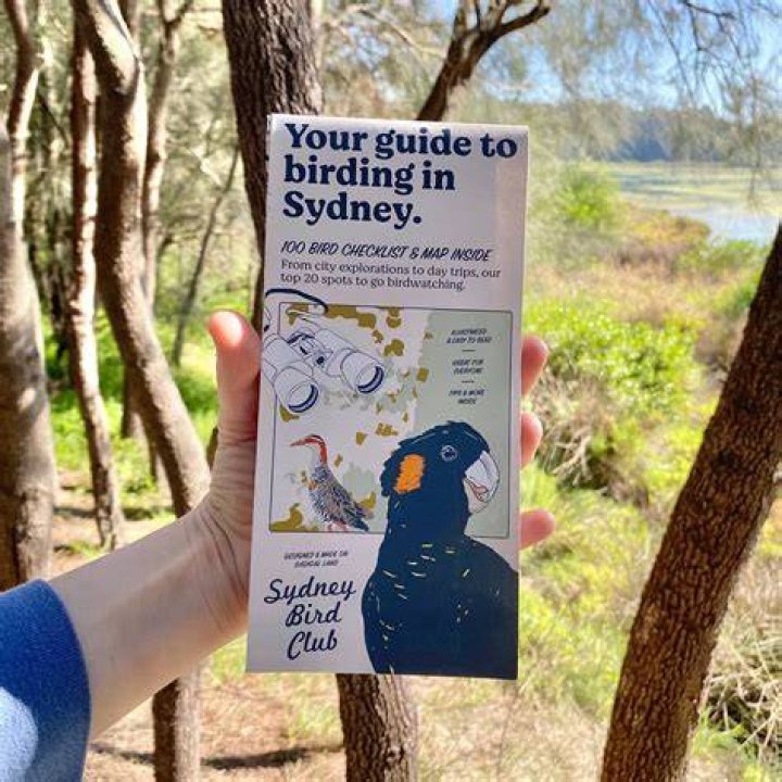 Check Out New Instructions For Controlling Birds In Sydney