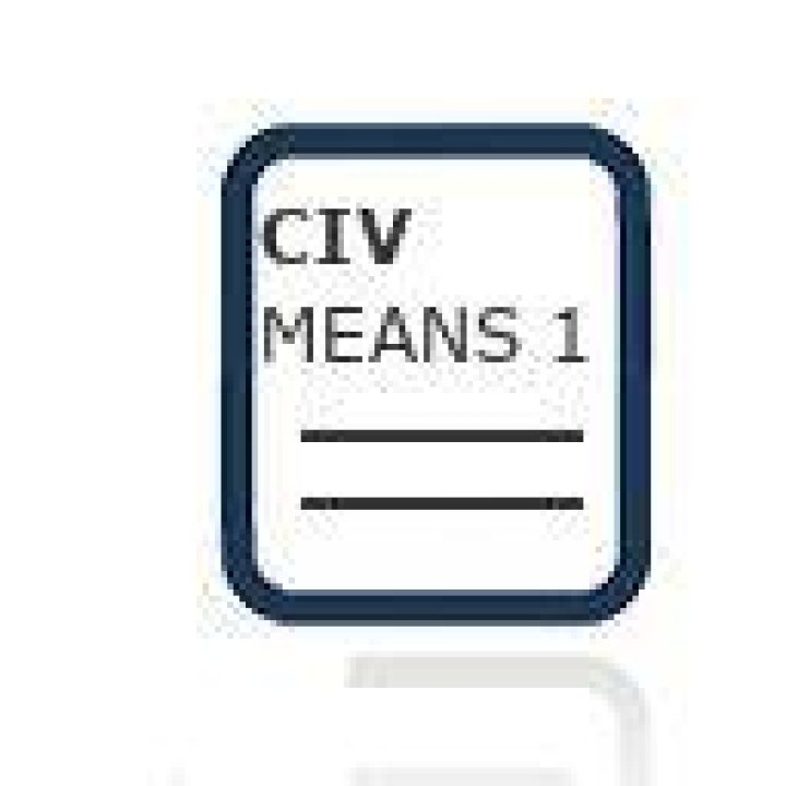 CIV MEANS 1: financial assessment form, not passported
