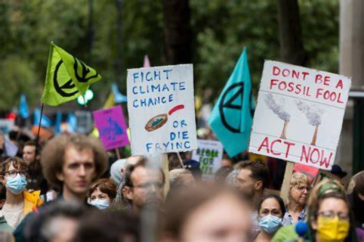 Climate Activism And Environmental Insights