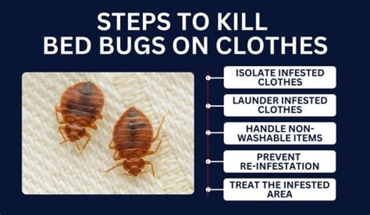 Commercial Properties |Kill Bed Bugs|Albany|Schenectady|Troy|Saratoga