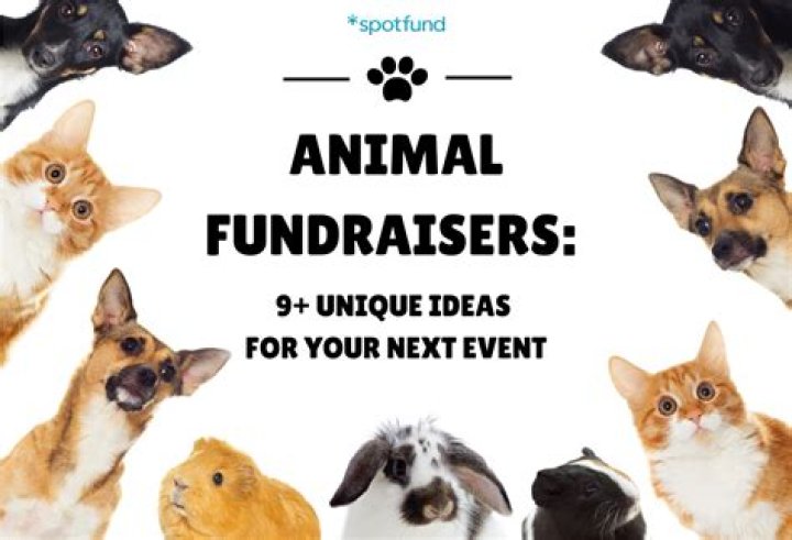 Cookie Dough Fundraisers For Animal Shelters