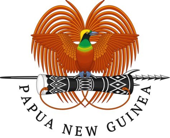 custom logo design in lae papua new guinea